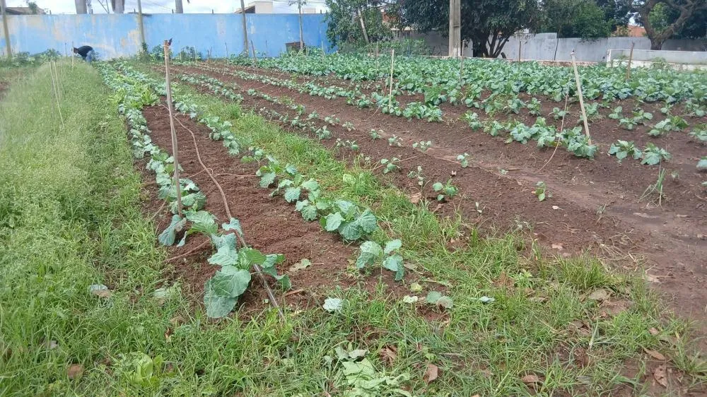 FAC promove Dia de Campo com educação ambiental 